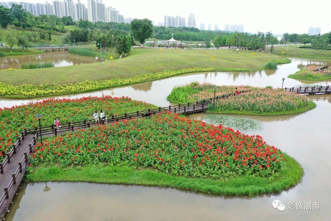 松雅湖花海，自然盛景的最新绽放