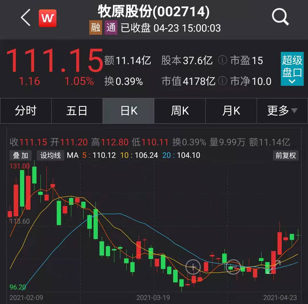 牧原股票最新行情深度剖析与解读